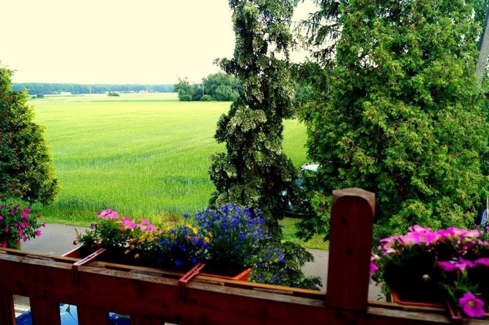 Agroturystyka U Willima Mechnica Exterior foto