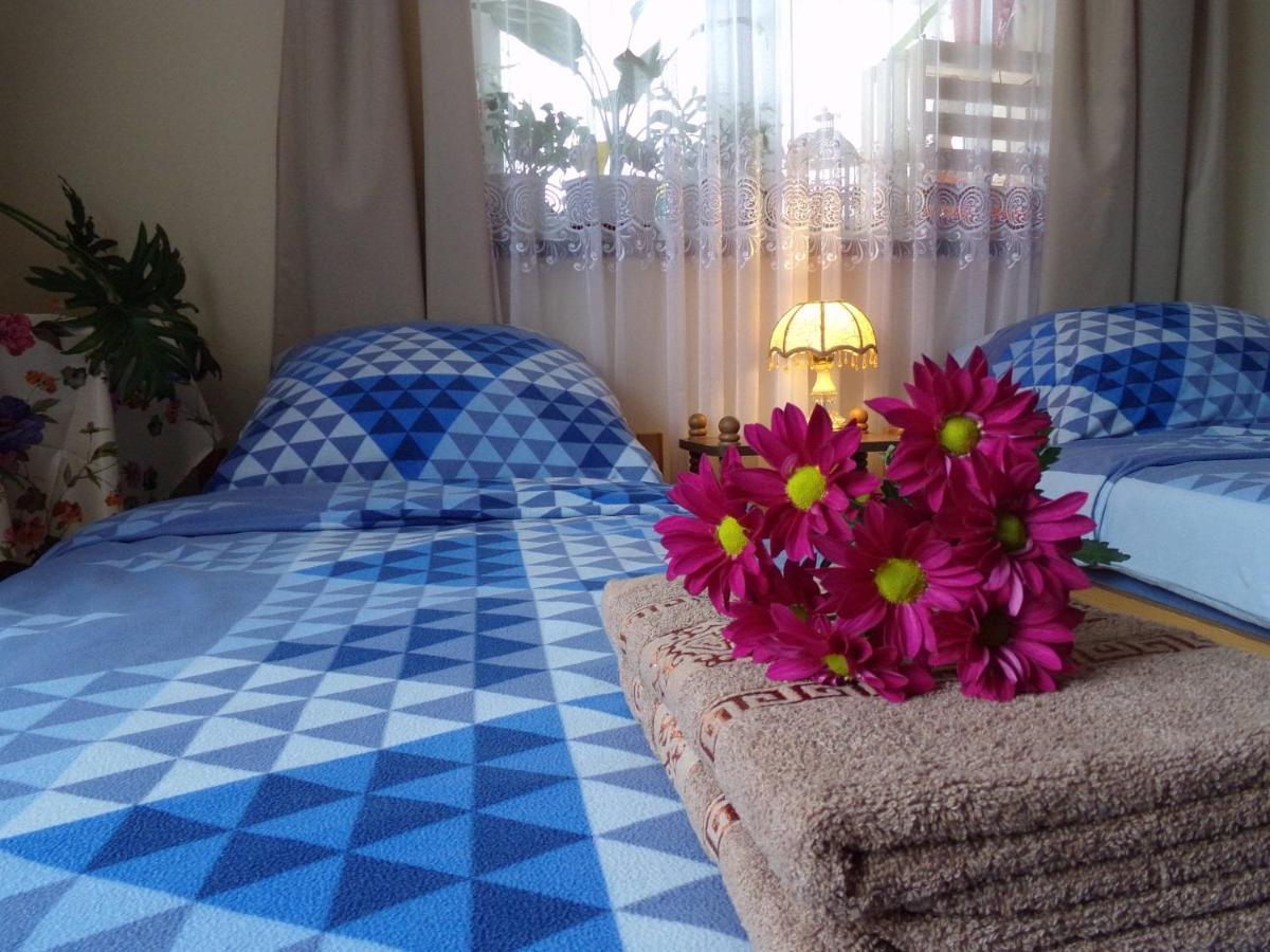 Agroturystyka U Willima Mechnica Exterior foto