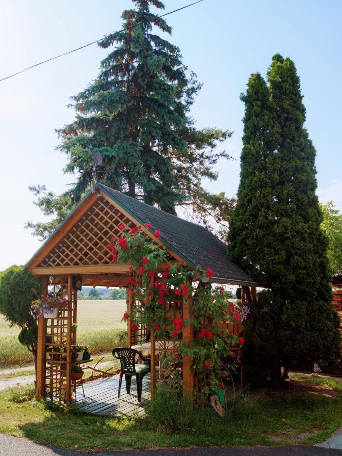 Agroturystyka U Willima Mechnica Exterior foto